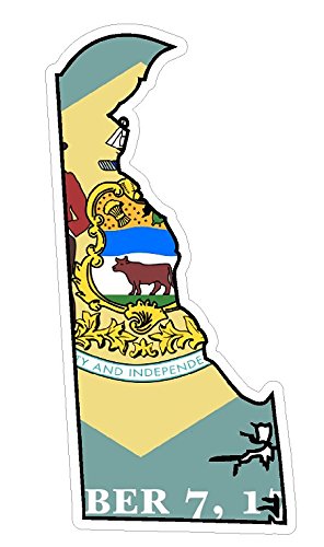Delaware State Flag Decal - Premium Distressed Vinyl Sticker for Cars, Trucks, Windows & Laptops - USA Black and White Waterproof Design (5 Inch) - Show Your American State Pride - Perfect for Tailgating, College Dorms & Office Decor