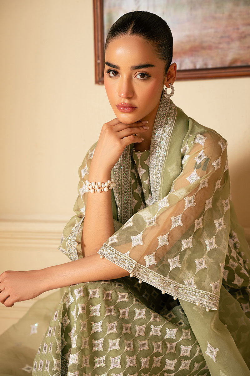 Elegant Minted Sage 4-Piece Embroidered Organza Suit Set for Women – Perfect for Weddings, Parties & Special Occasions