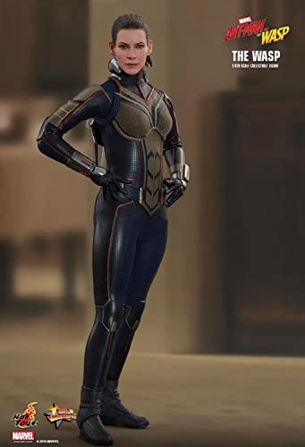 Hot Toys 1:6 Scale The Wasp Action Figure from Ant-Man and The Wasp Movie - Collectible Marvel Superhero Toy for Display & Gift Giving