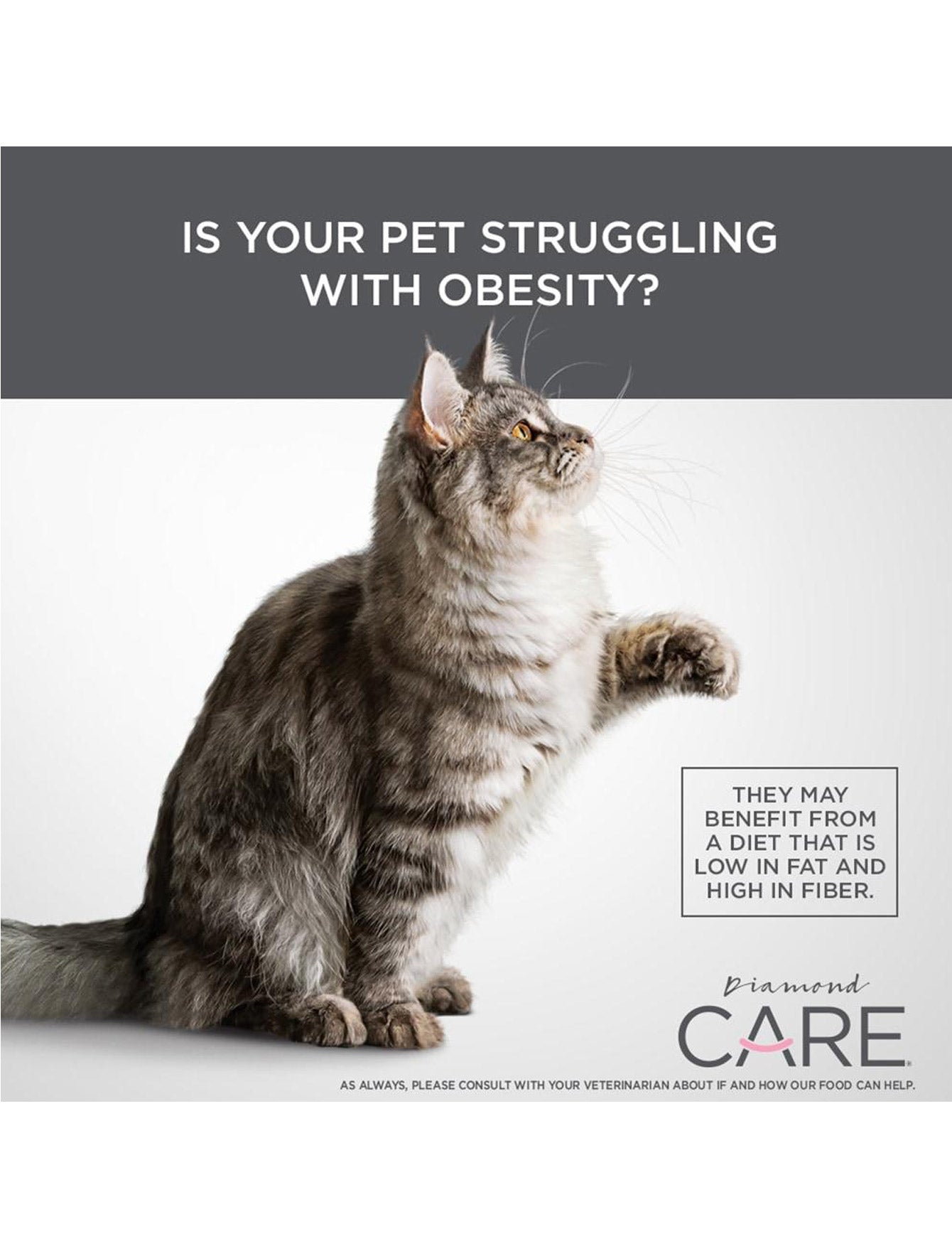 Premium Diamond Care Weight Management Formula for Adult Cats - 6lb Bag - Healthy Weight Control Cat Food for Indoor & Overweight Cats - Perfect for Portion Control & Balanced Nutrition