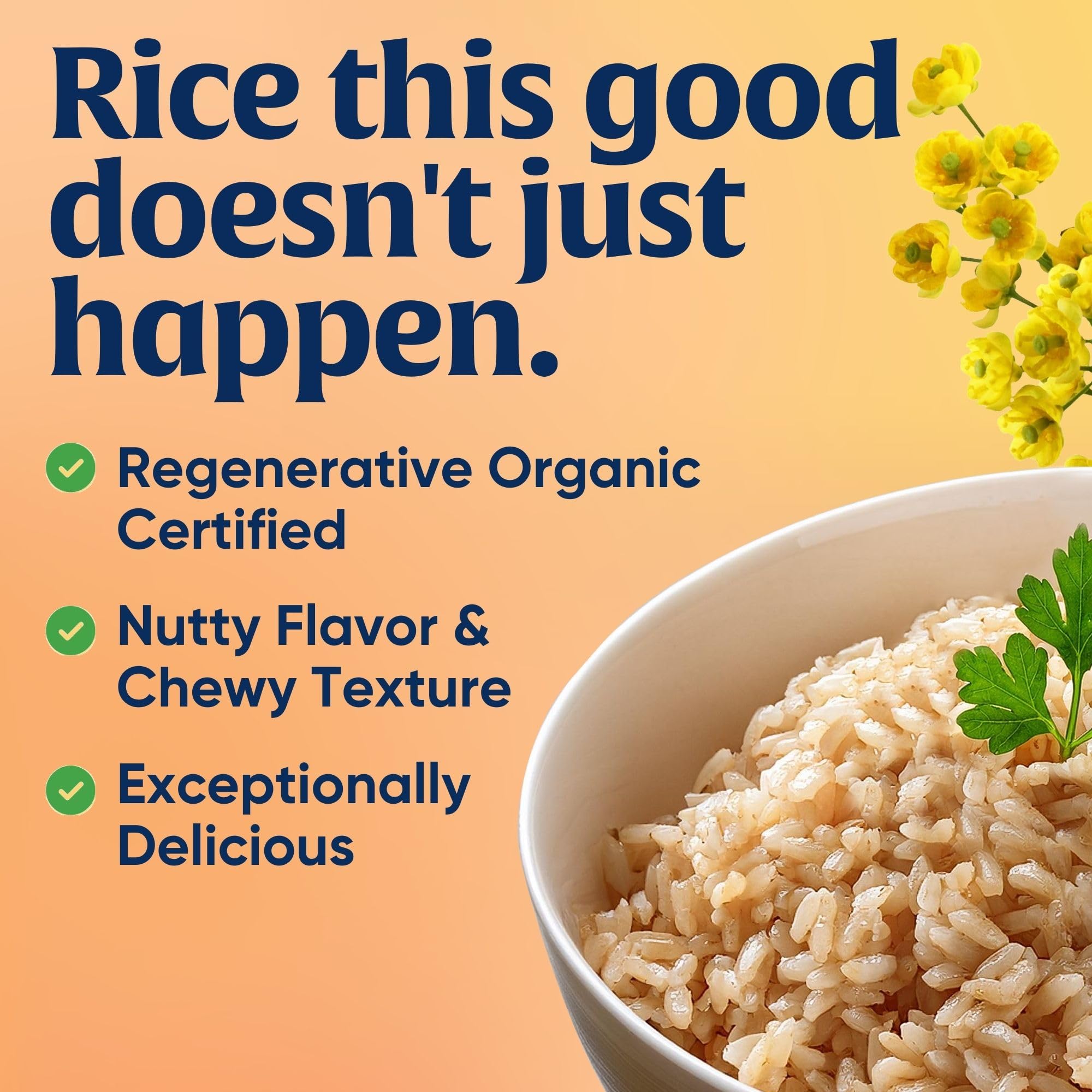 Lundberg Organic Short Grain Brown Rice - 2-Pack (32 Oz Each) | Regenerative Organic Certified, Nutty & Sticky Texture | Grown Sustainably in California | Perfect for Sushi, Rice Bowls & Healthy Meals