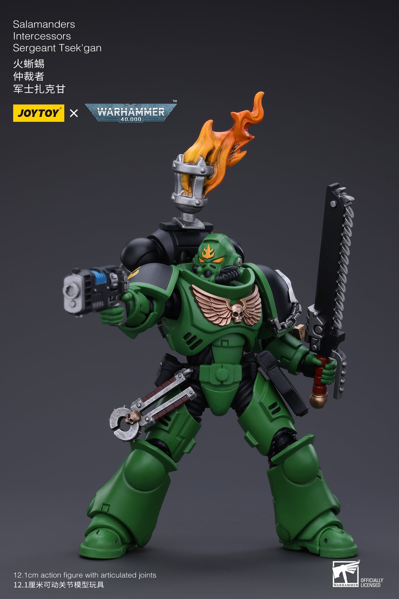 JOYTOY 3.75 Inch Warhammer 40K Salamanders Intercessors Sergeant Tsek'gan Action Figure - 1/18 Scale Collectible Model for Display & Gaming (Reissue Version) | Perfect for Warhammer Fans, Tabletop Battles & Sci-Fi Collectors