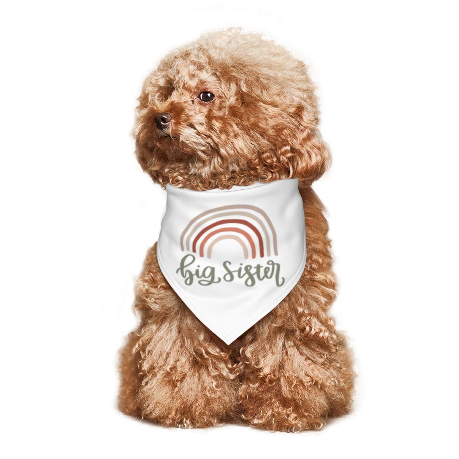 Rainbow Dog Bandanas for Big Sisters - Cute Pet Bandanas for Parties & Costume Accessories - Perfect Gift for Dog Lovers (White) - Great for Birthday Celebrations, Pet Photos & Special Occasions