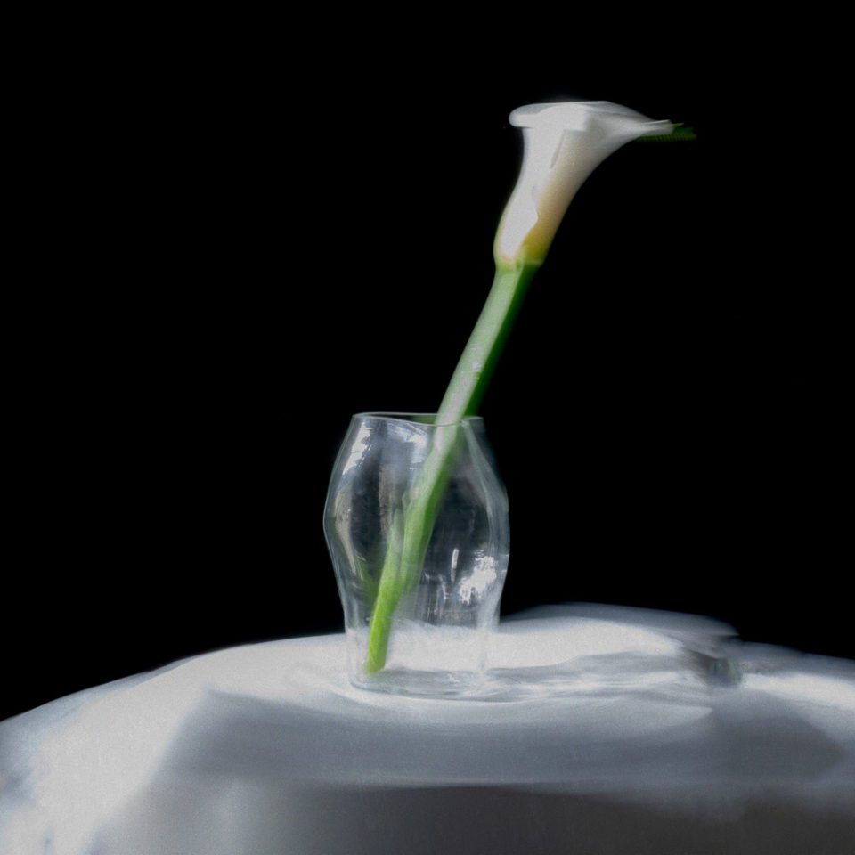 NEW WORKS Blaehr Small Clear Glass Vase - Elegant Home Decor for Centerpieces, Wedding, Dining Table & Living Room