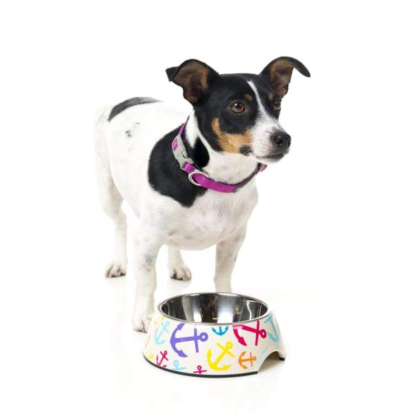 Fuzzyard Ahoy! Slow Feeder Dog Bowl - Non-Slip Pet Food Dish for Small Medium Large Dogs - Perfect for Fast Eaters & Mealtime Enrichment