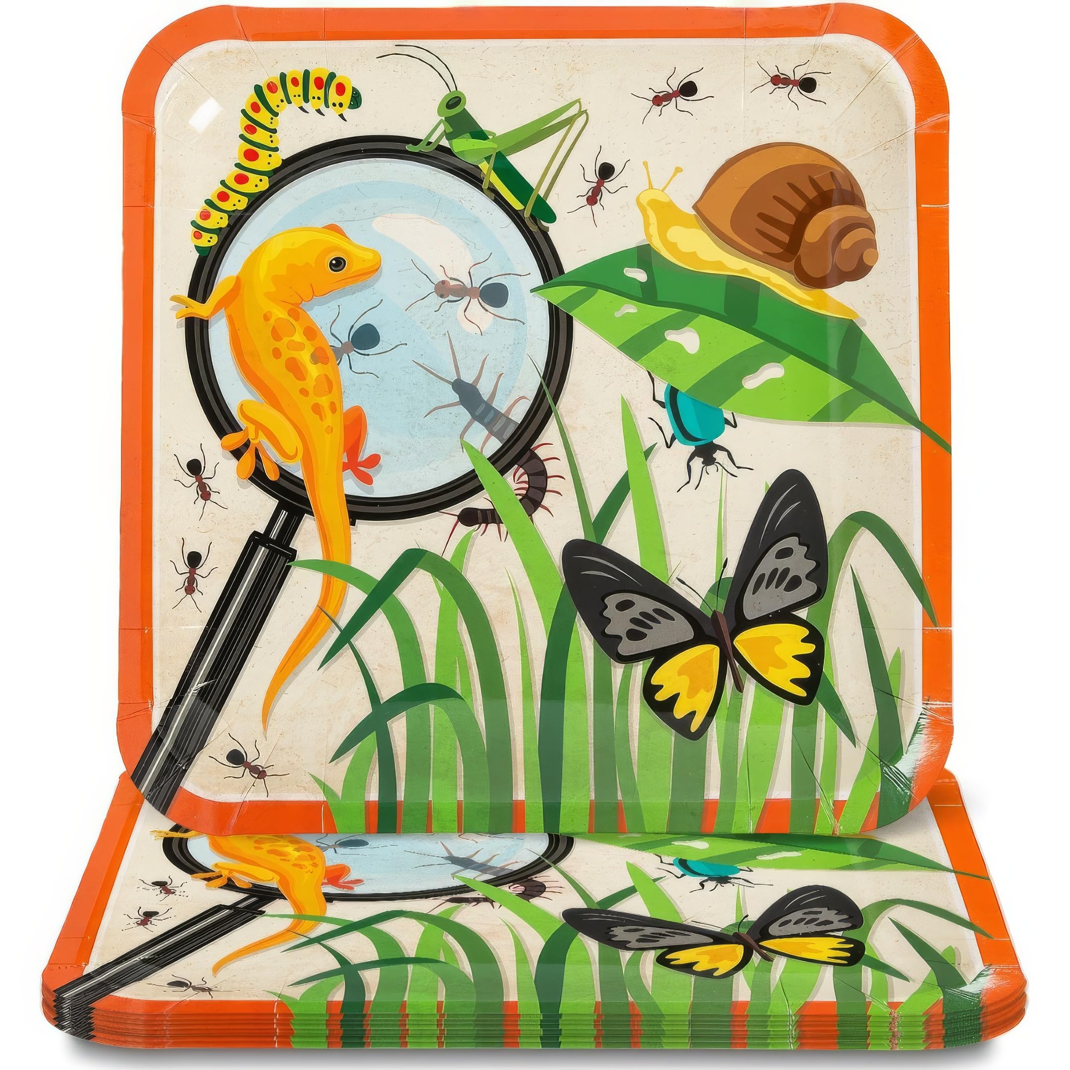 Fun Express Backyard Adventure Dinner Plates - 8-Piece Set for Outdoor Parties, Picnics, Camping & VBS Vacation Bible School Decorations