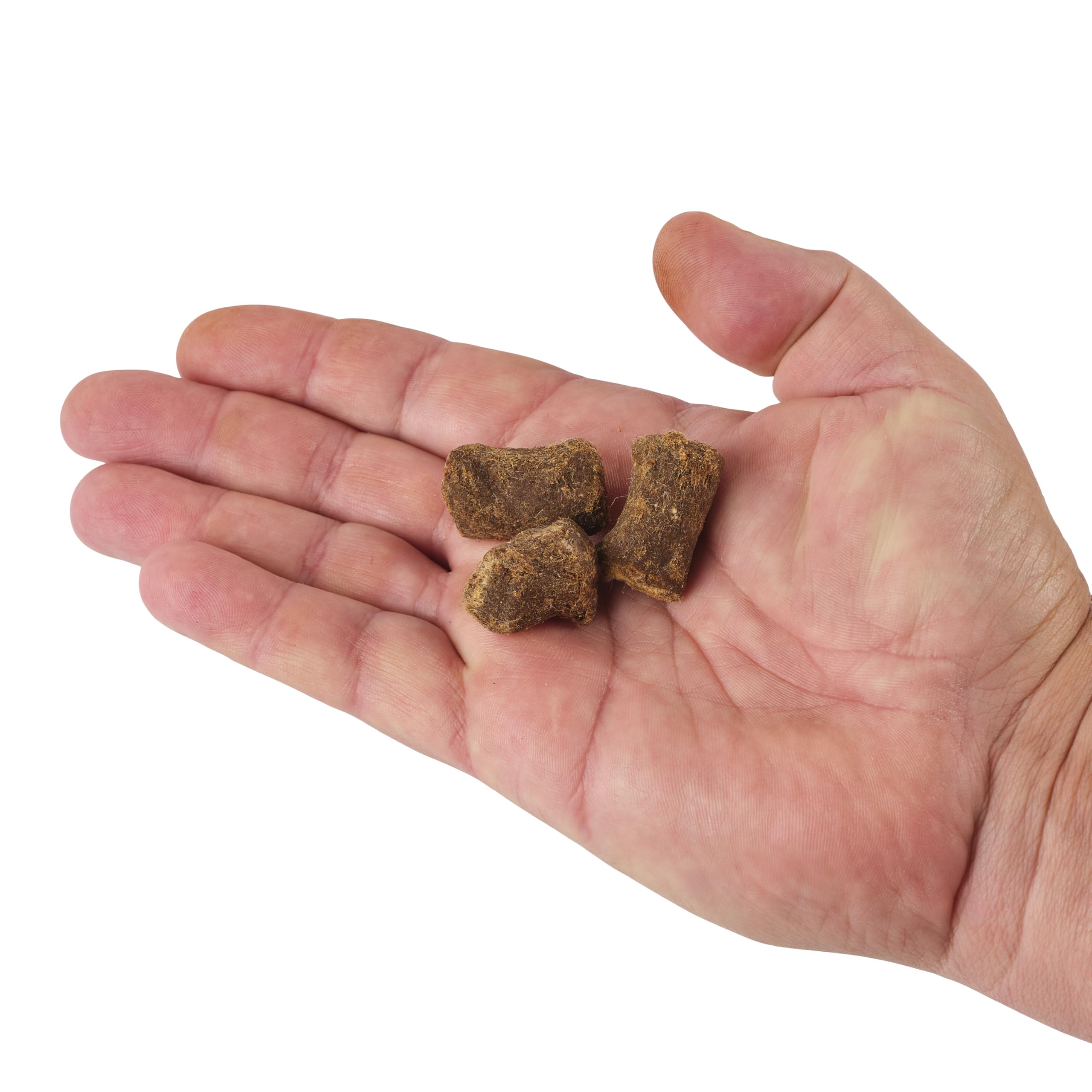 Berkley PowerBait Catfish Bait Chunks - Scented Fishing Dough Bait for Freshwater & Saltwater Fishing - Perfect for Bank Fishing, Boat Fishing, and Night Fishing