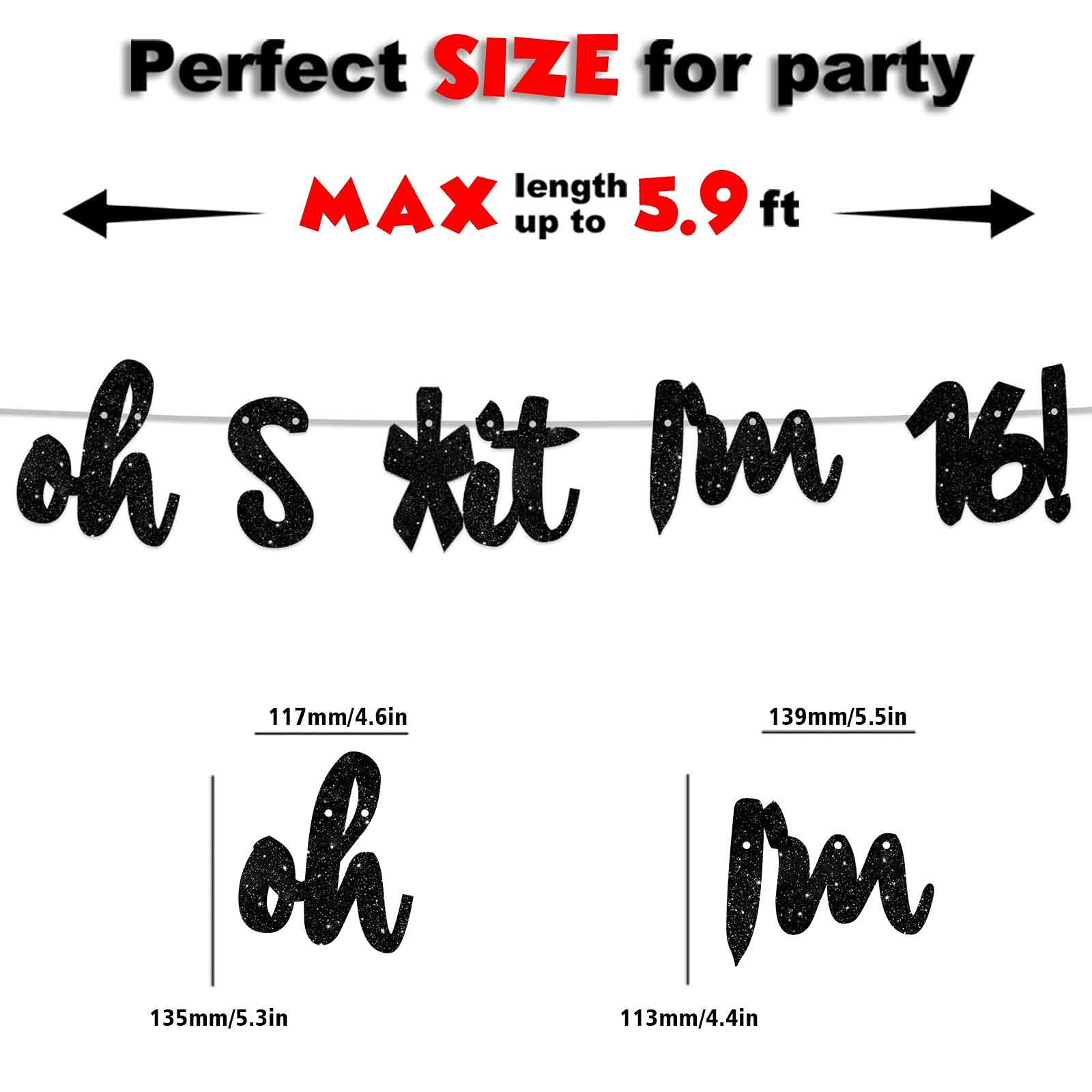 Glitter Black 'Oh I'm 16!' Banner Backdrop - Happy 16th Birthday Party Decorations for Boys & Girls, Sweet Sixteen Photo Studio Props, Flags & Party Supplies | Perfect for Birthday Celebrations, Photo Booths & Themed Decor