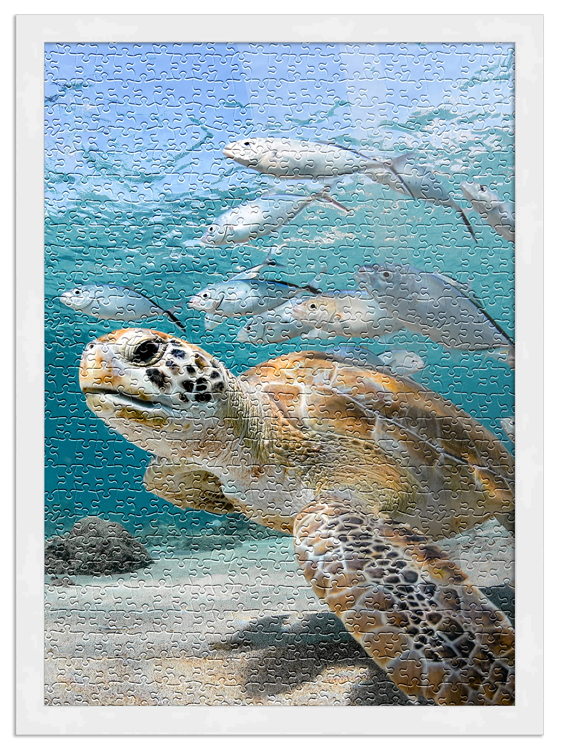 CountryArtHouse 24x32 Inch Puzzle Frame Set - White Wood Frame with Peel & Stick Puzzle Glue Sheets, Acrylic Front & Foam Backing Board - Perfect for Displaying Jigsaw Puzzles as Wall Art in Living Rooms, Bedrooms or Offices