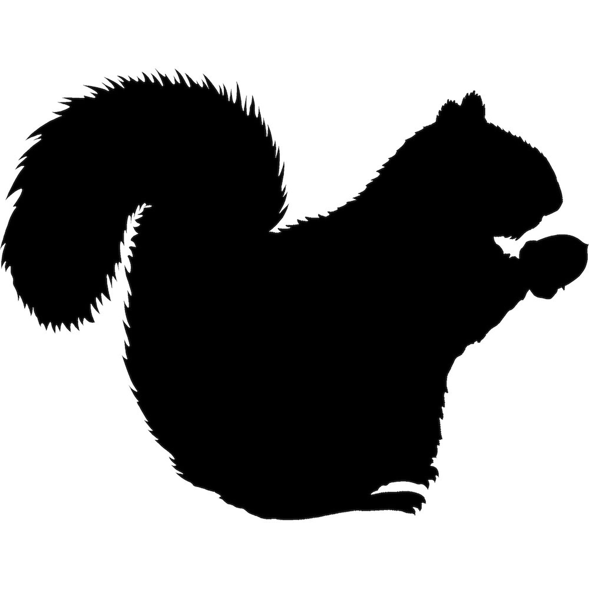 Squirrel Oval Car Sticker - Durable Bumper Decal for Cars & Laptops