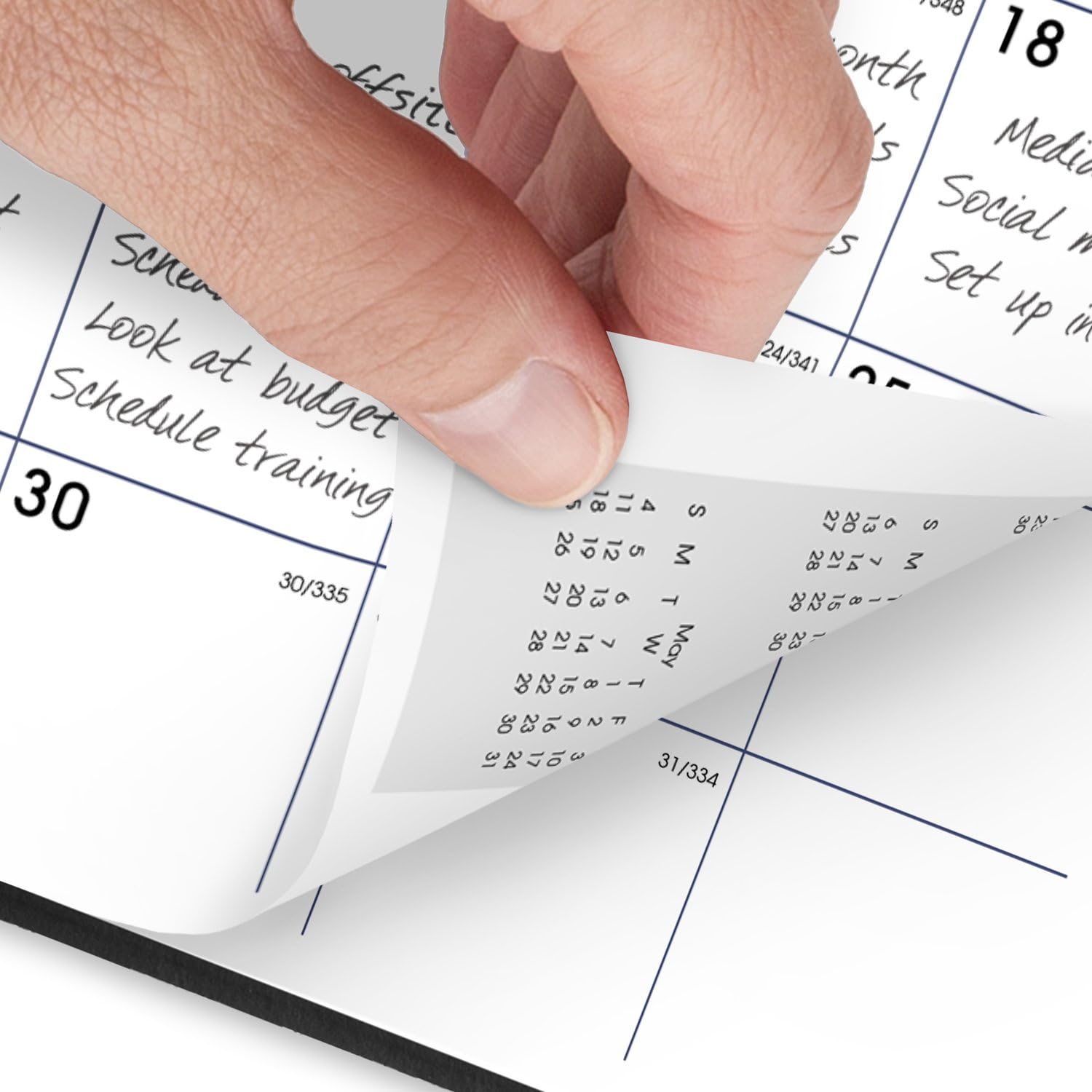 AT-A-GLANCE 2025 Monthly Planner - 7