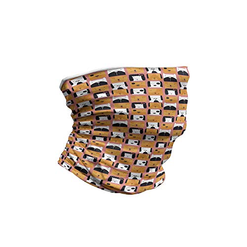 Square Form Funny Puppy Heads