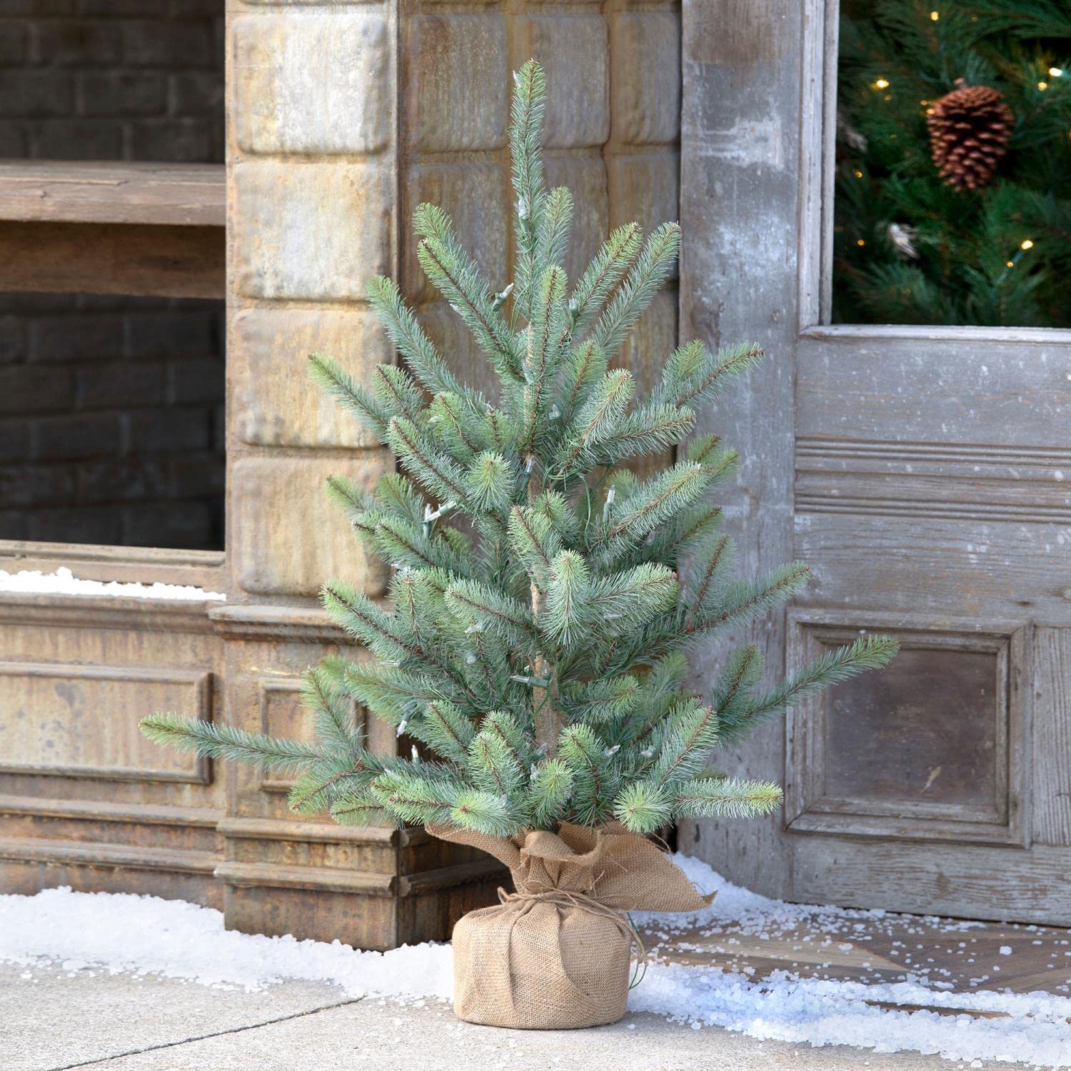 Park Hill Collection XPQ90690 36-inch Blue Spruce Seedling with LED Battery Lights - Burlap Wrapped Artificial Christmas Tree for Home & Office Holiday Decor