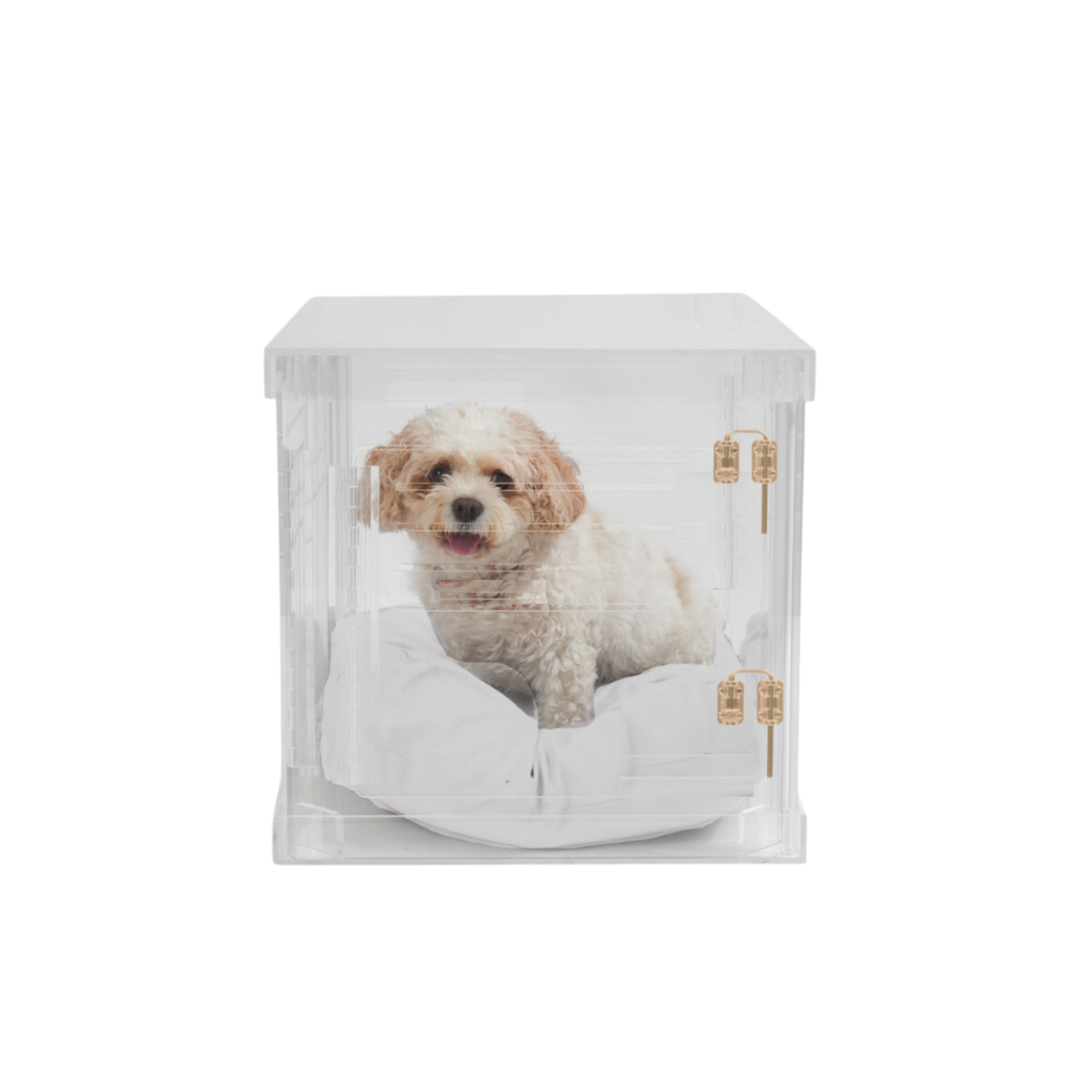 Clear Plastic Dog Crate with Removable Gate - Portable Pet Carrier for Small to Medium Dogs - Perfect for Travel, Training & Home Use