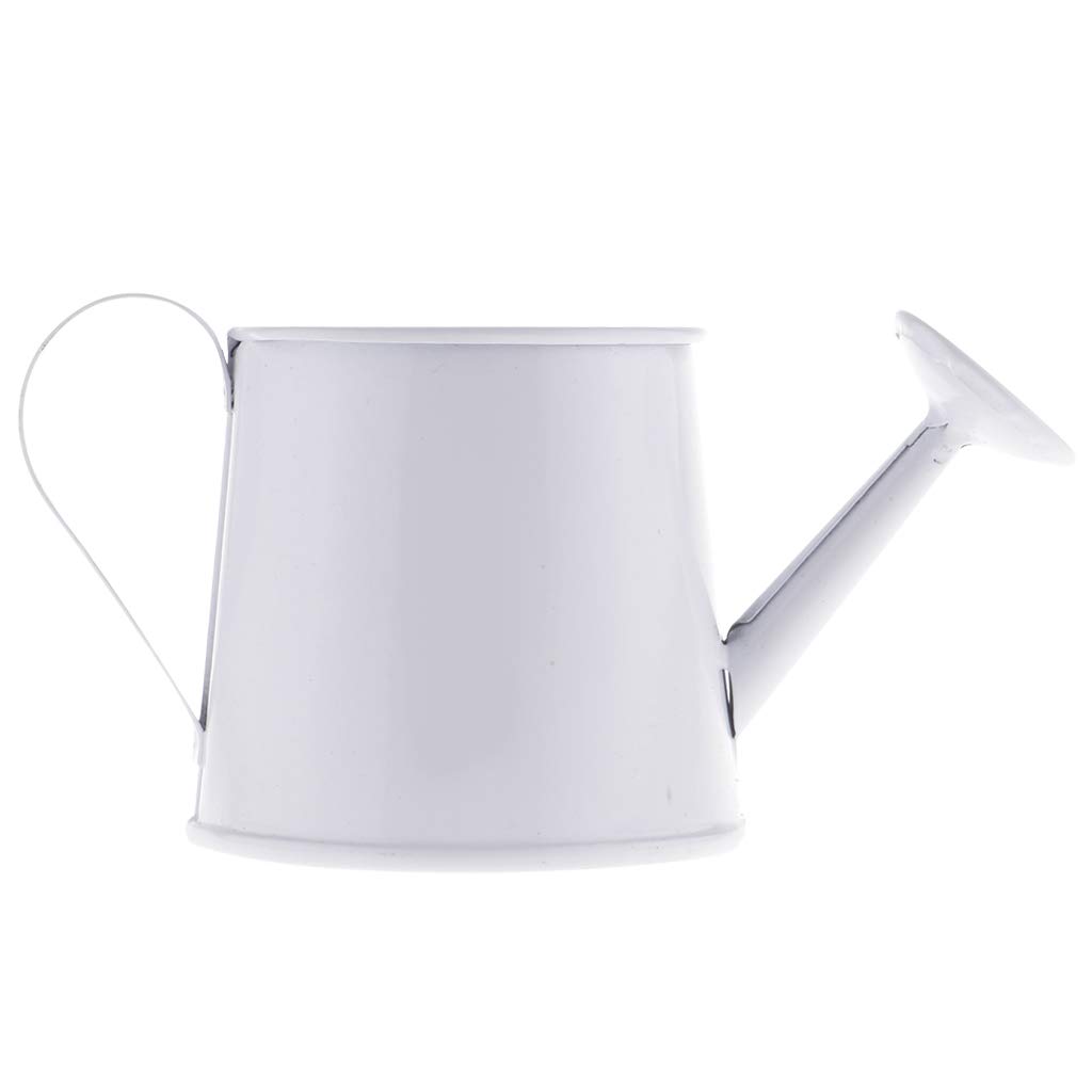Blesiya Pastoral Style Colorful Tin Flower Pot - Mini Bonsai Watering Can & Succulent Plants Vase Decor (White) | Perfect for Home Garden, Office Desk & Indoor Plant Decorations