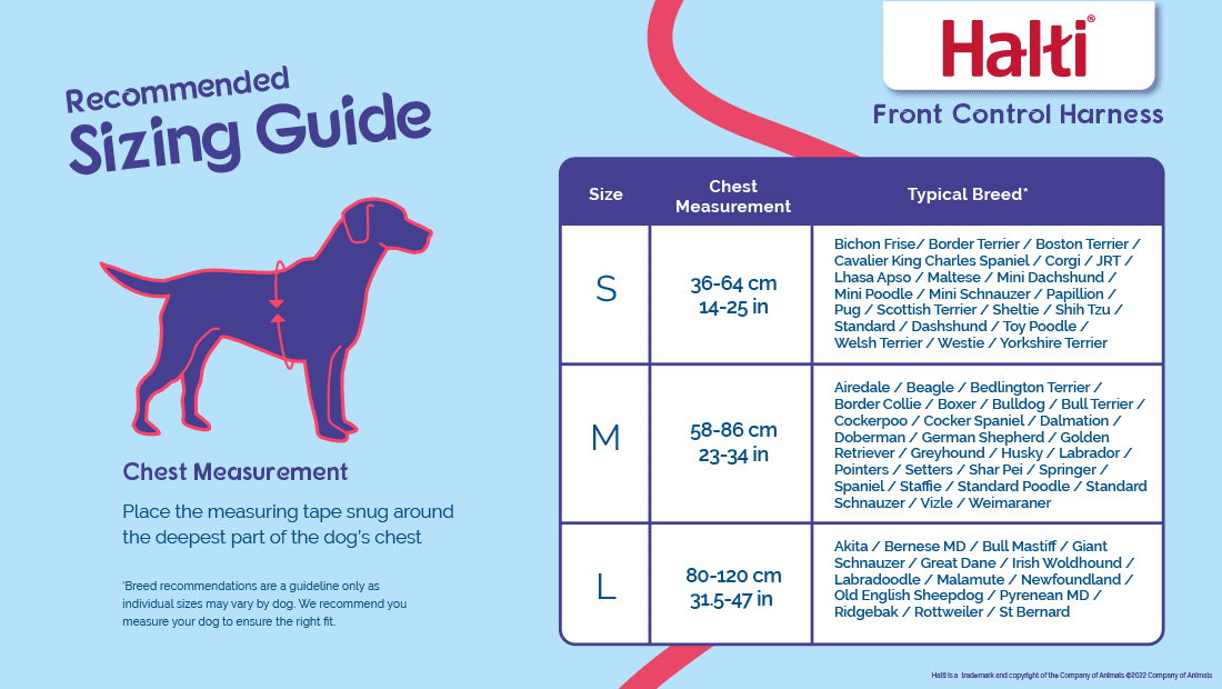 Company of Animals Halti Front Control Dog Harness - No-Pull Training Harness for Medium & Large Dogs - Perfect for Walking, Training & Outdoor Adventures