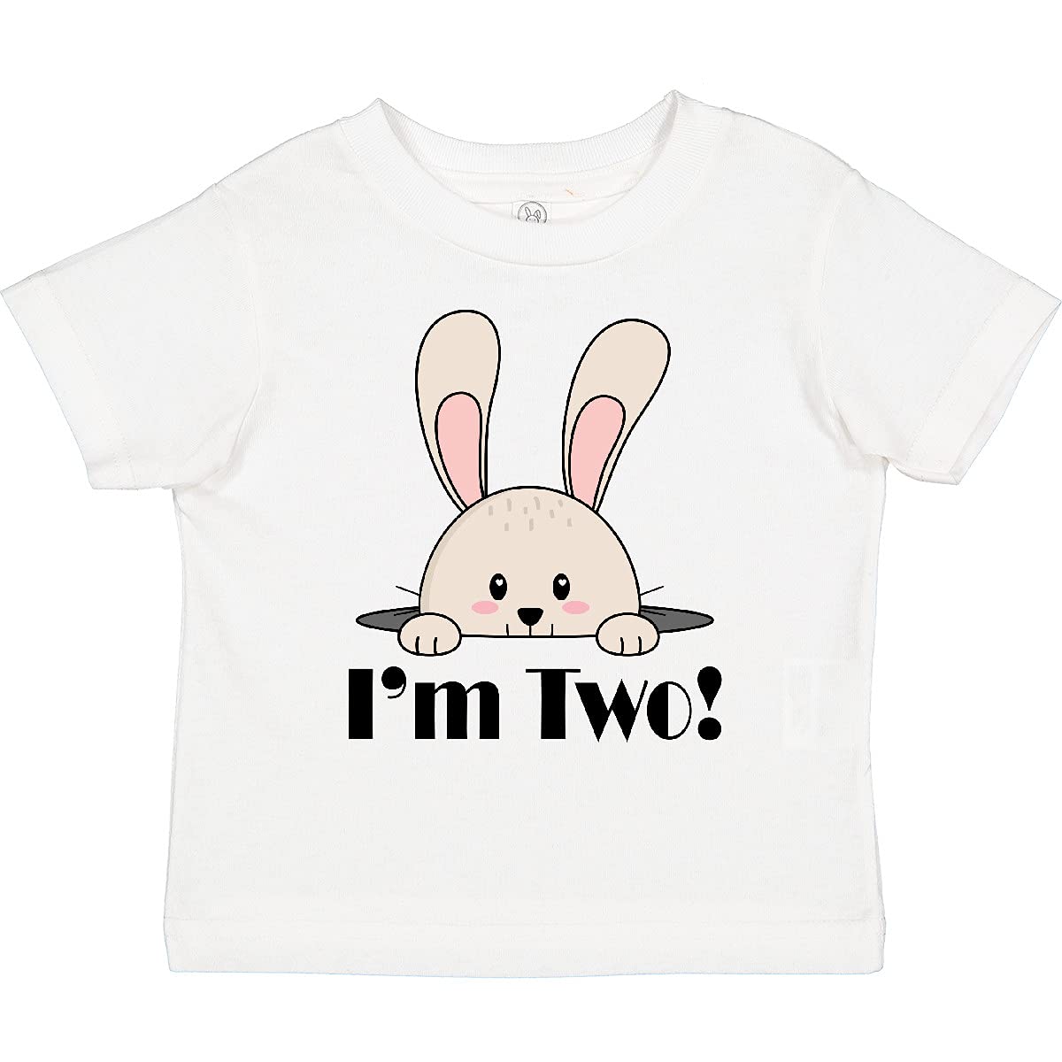 2nd Birthday T-Shirt for 2 Year Old Boys - Cute Toddler Graphic Tee - Perfect for Birthday Parties & Family Photos