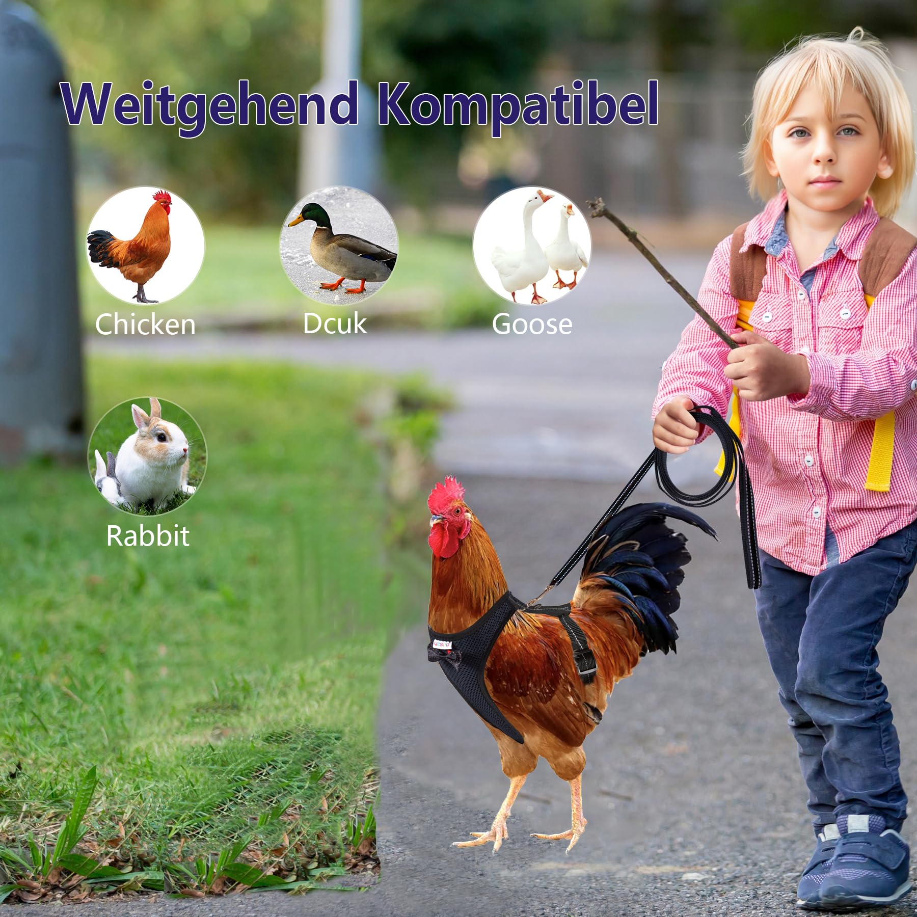 Adjustable Chicken Harness for Hens with 6ft Leash - Durable, Breathable & Comfortable Pet Harness for 6.6lb Chickens (Black) - Perfect for Backyard Poultry, Farm Animals & Pet Chicken Walking