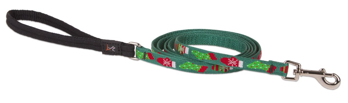LupinePet 6ft Padded Leash for Small Dogs - Walking & Training