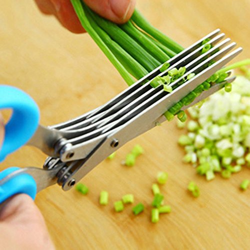5-Layer Stainless Steel Kitchen Scissors - Herb & Spice Cutting Scissors for Shredding, Chopping, and Mincing - Perfect for Cooking, Salad Prep, and Garnishing