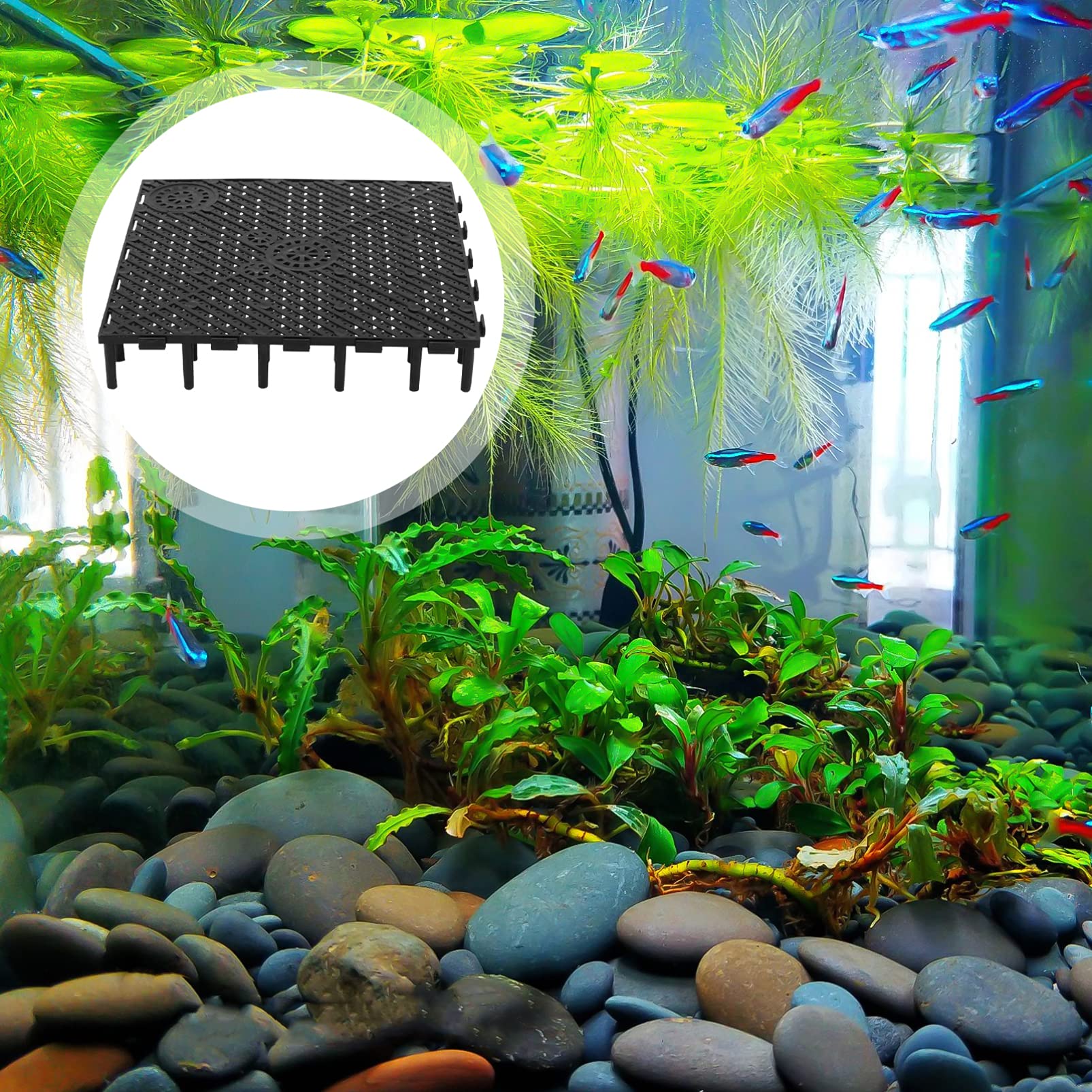 iplusmile 10 Gallon Aquarium Bottom Plate - Fish Tank Divider & Undergravel Plate (20pcs) - Perfect for Aquarium Setup, Fish Tank Separation, and Aquatic Plant Arrangement