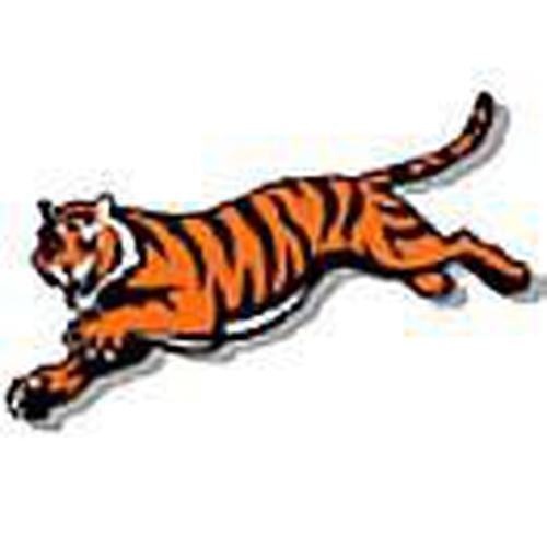 Official NFL Cincinnati Bengals Team Logo Sideline Towel - Super Soft Microfiber for Sports, Gym, and Home Use - Perfect for Fans, Games, and Workouts