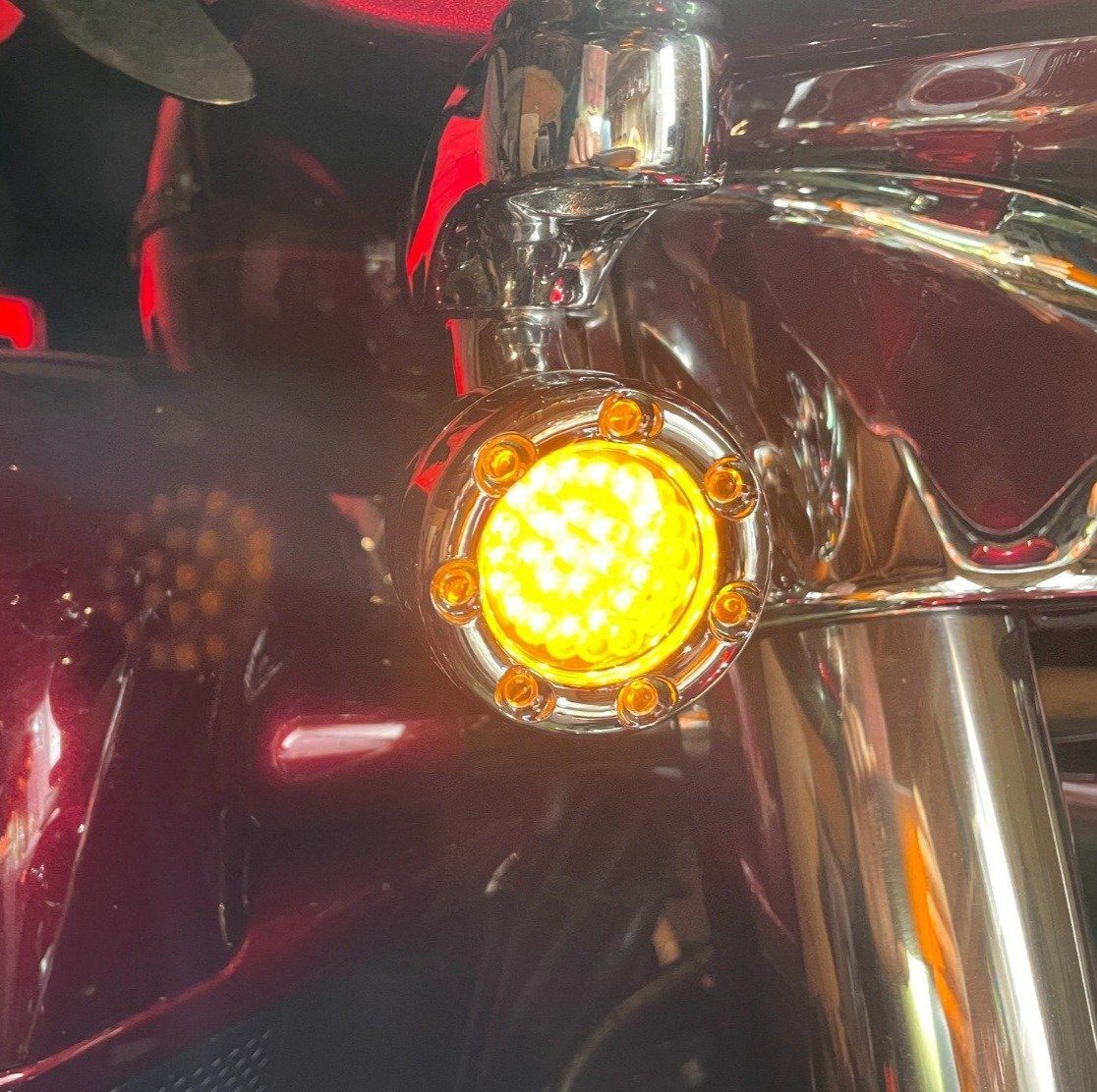 Eagle Lights 2