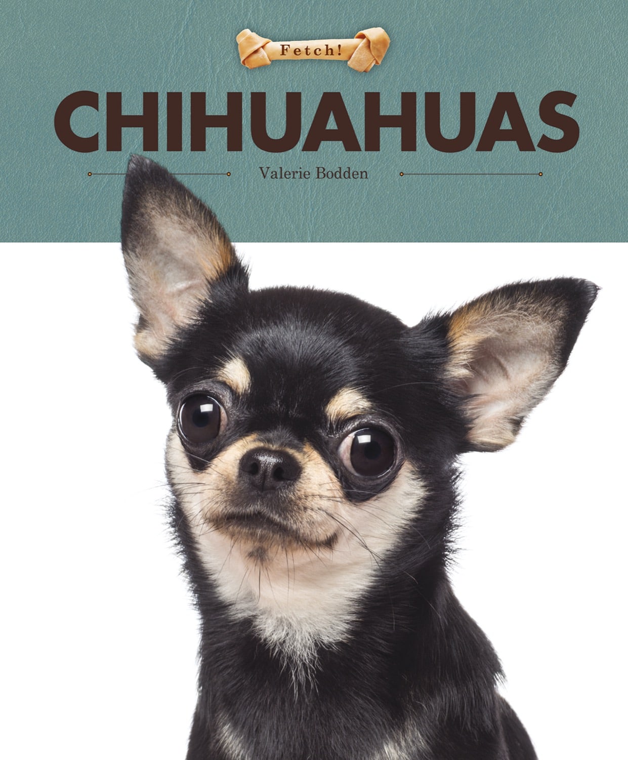 Chihuahuas Book - ISBN 9781608188987 - Perfect for Dog Lovers & Breed Enthusiasts