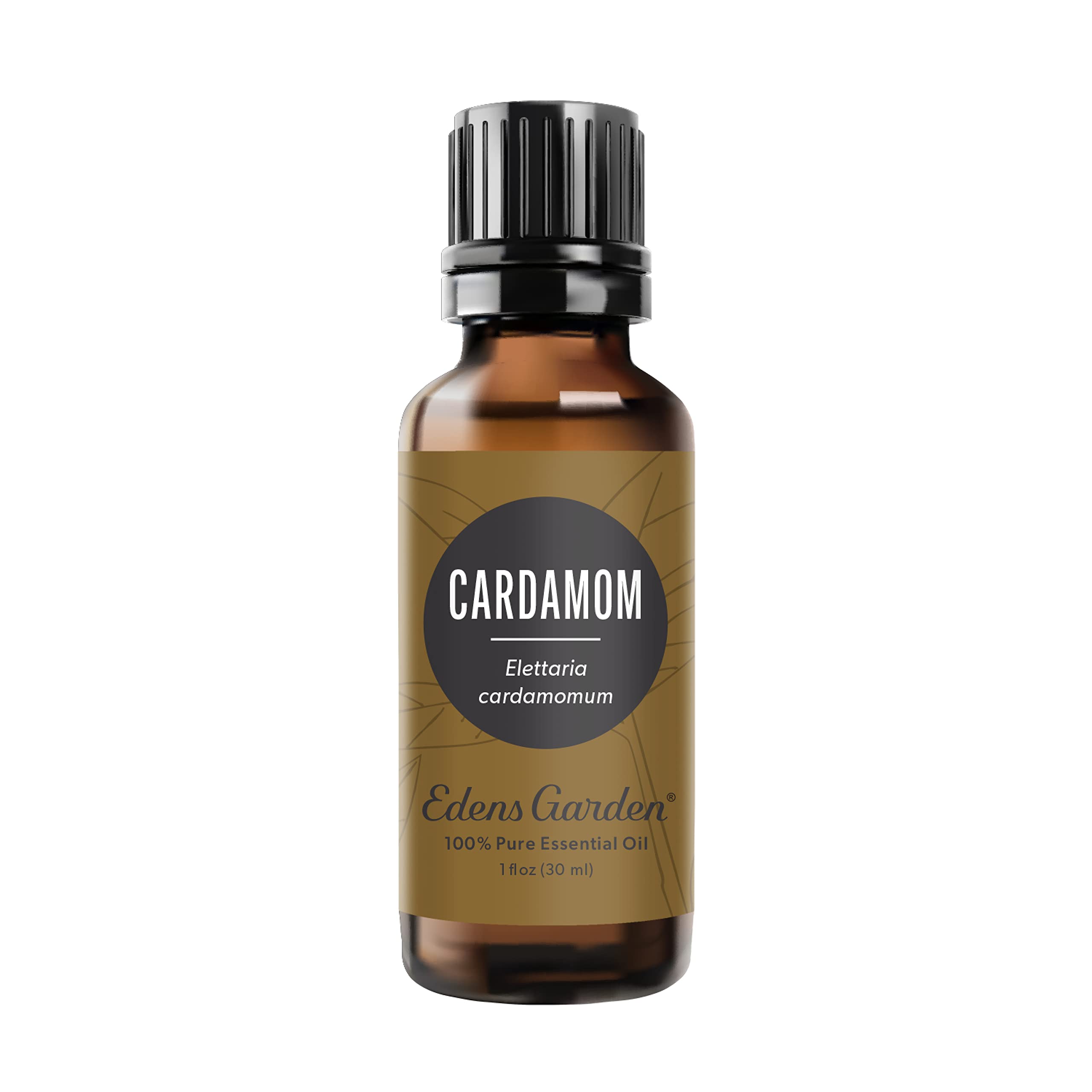 Edens Garden 100% Pure Cardamom Essential Oil - Premium Grade, Undiluted, Natural Therapeutic Aromatherapy Oil for Diffusers, Skin Care, Laundry & Humidifiers - 30ml (1 fl oz) - Perfect for Relaxation, Stress Relief & Home Fragrance