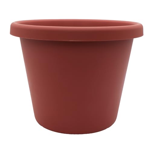 Clay