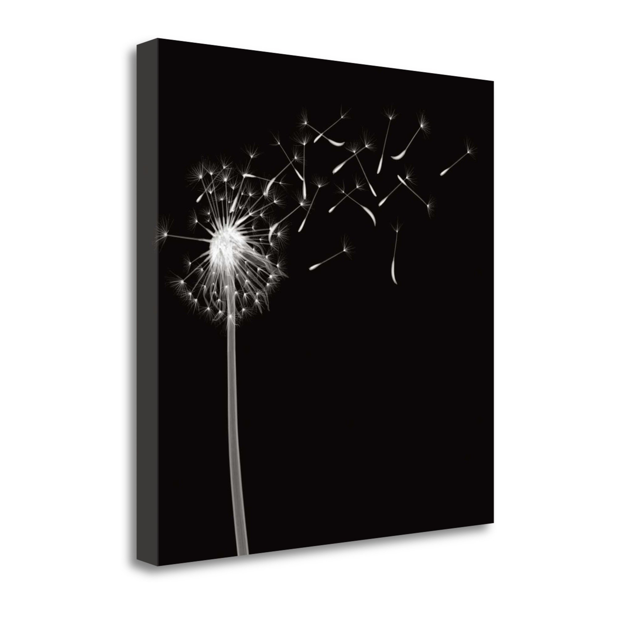 Into The Night II by Jim Wehtje - Premium Giclee Art Print on Gallery Wrapped Canvas, Handcrafted Wall Decor for Living Room, Bedroom & Office