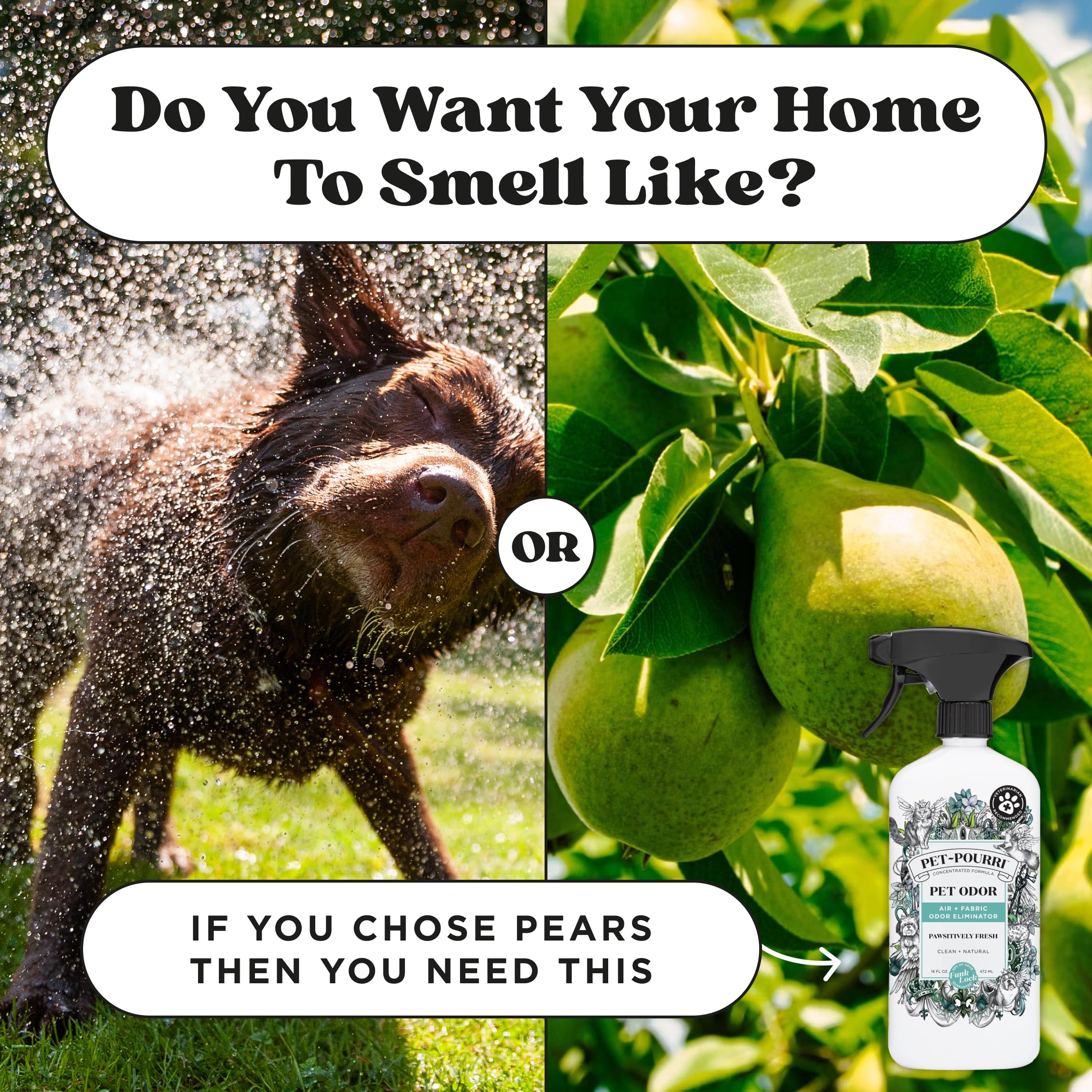 Pet Safe Deodorizer Candle - Plant Based Wax for Pet Odor - Pineapple Scent for Home & Grooming