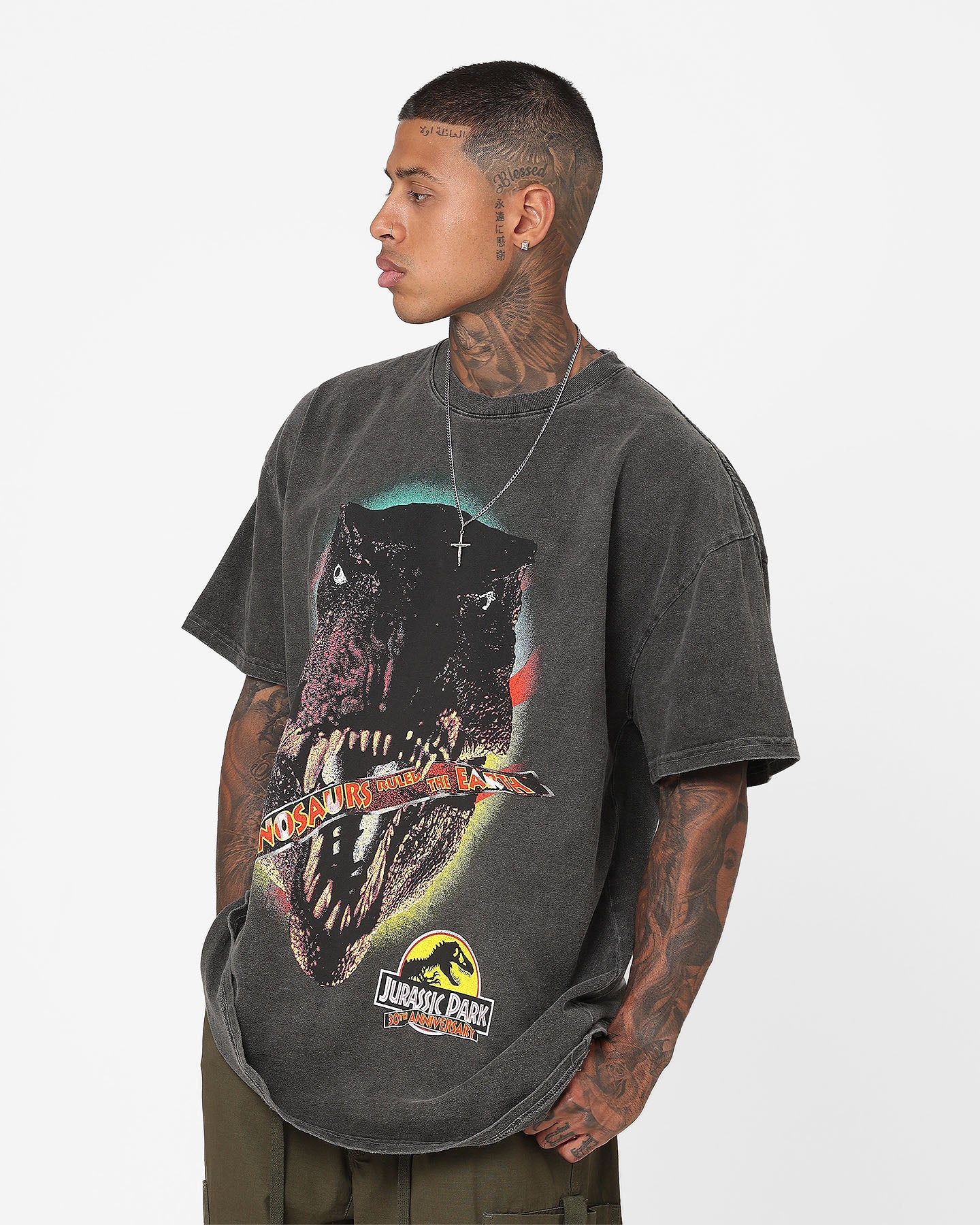 American Thrift Jurassic Park 30th Anniversary Vintage Heavyweight T-Shirt - Black Wash | Retro Movie Tee for Fans, Casual Wear & Pop Culture Enthusiasts