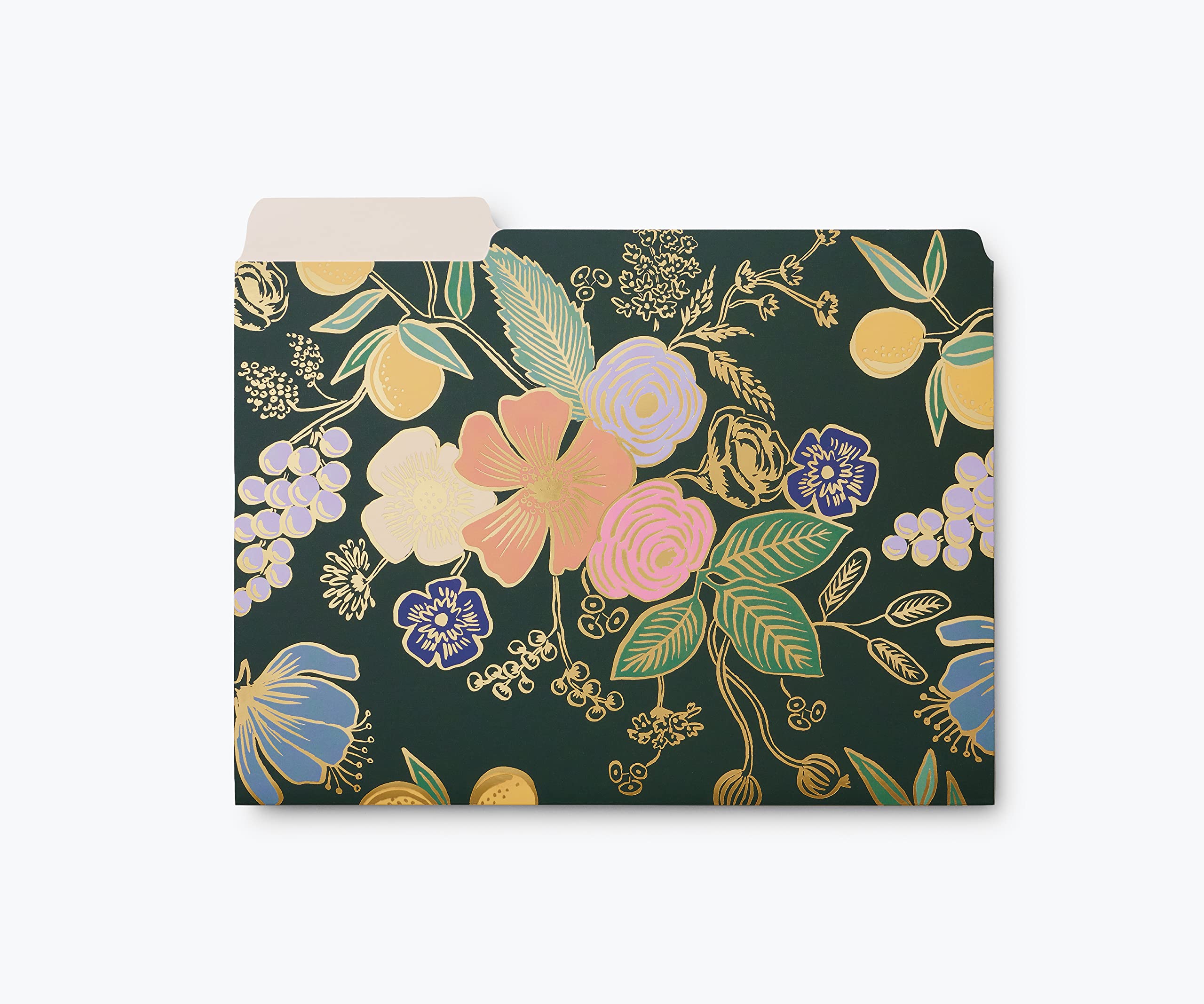 RIFLE PAPER CO. Colette File Folder Set - 6 Pack Sturdy Folders, 2 of Each Design with 12 Adhesive Labels, Elegant Gold-Outlined Pattern (9.25