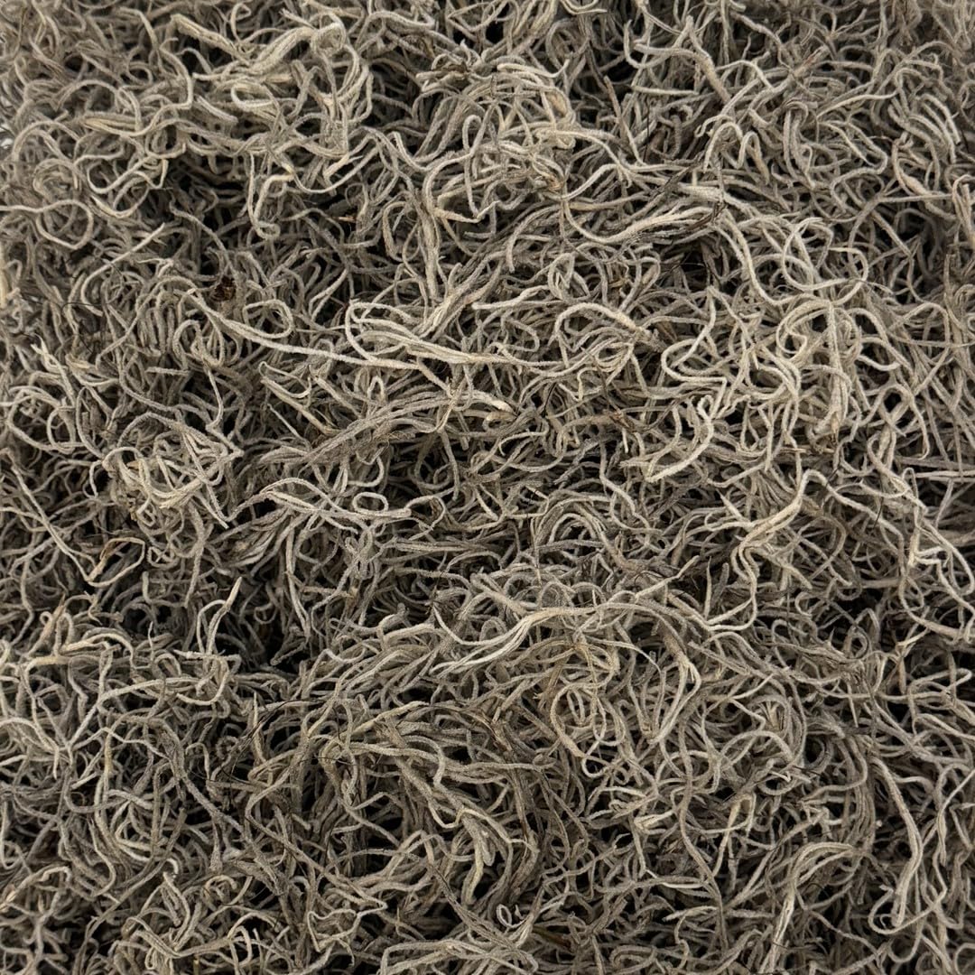 Preserved Spanish Moss for Crafts & Home Decor | Natural Dried Moss for DIY Projects, Art & Design | Indoor Use | Covers 10-12 sq ft | Perfect for Wreaths, Terrariums & Boho Decor