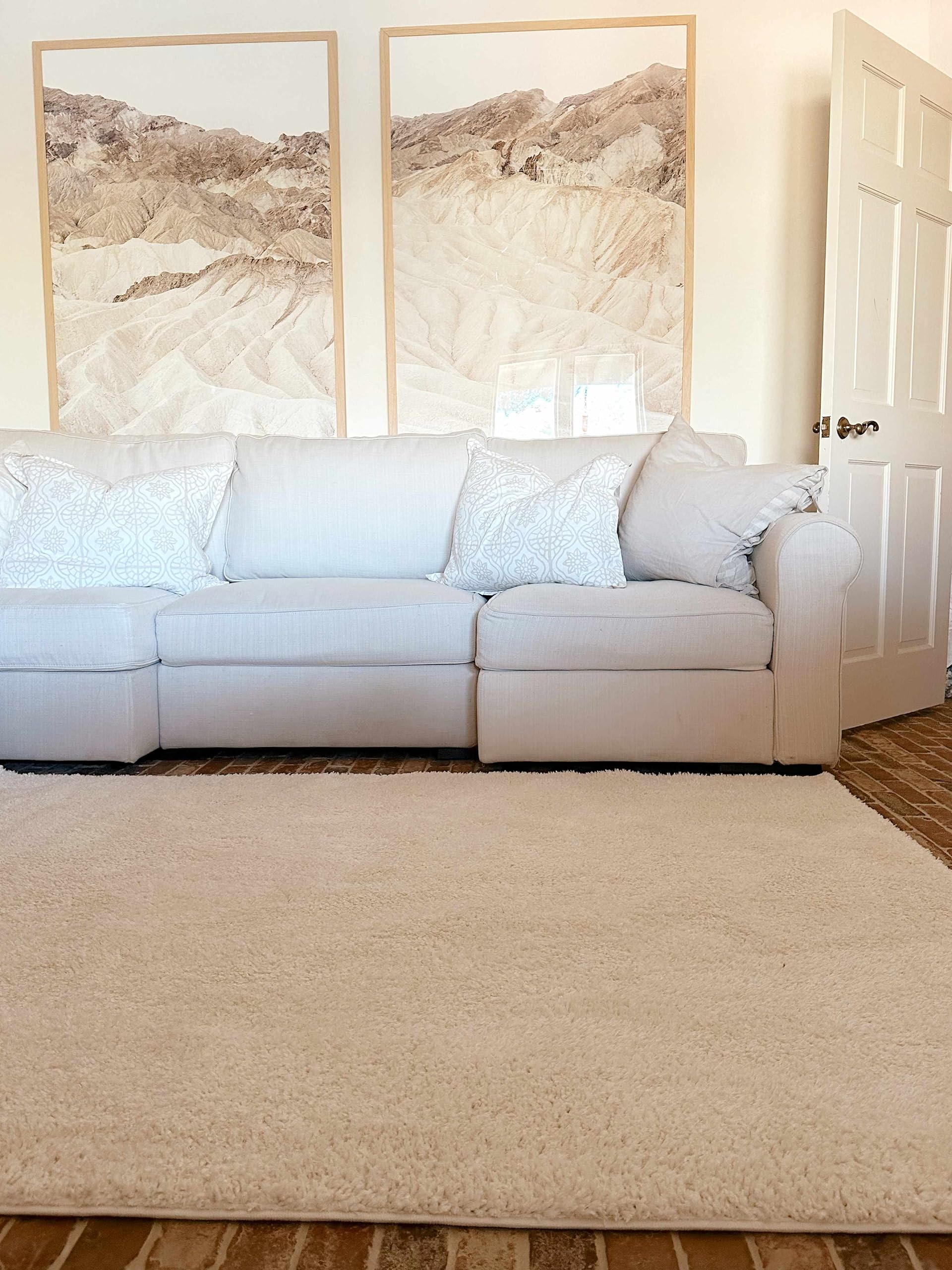 Judy Machine Washable Solid Shag Rug - Soft Fluffy High Pile Area Carpet for Living Room & Bedroom - Blush & Brown - 5'3
