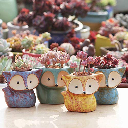 Creative Lovely Fox-Shaped Flower Pot for Succulents | Cute Animal Planter Vase | Home & Garden Decor (Light Yellow) | Perfect for Windowsill, Office Desk & Indoor Plants