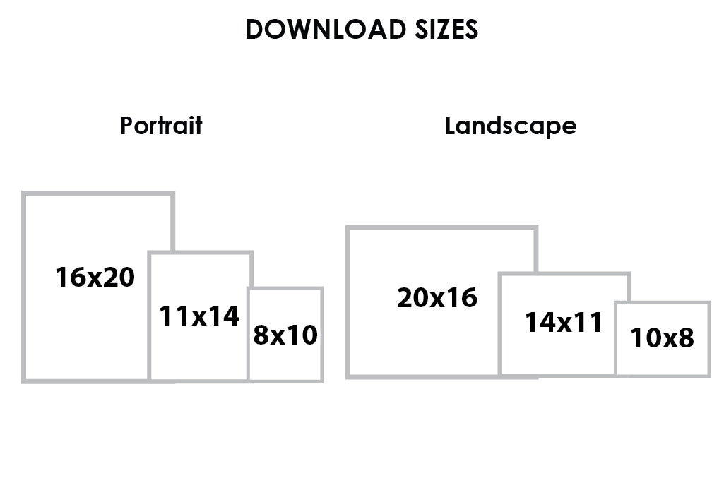 Pilot Artwork Download - High-Quality Digital Art Prints for Home & Office Decor | Perfect for Wall Art, Gifts & Creative Projects