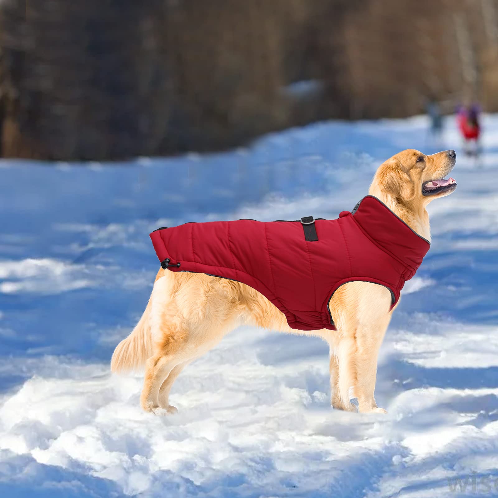 Geyecete Dog Winter Warm Coat - Windproof & Snowproof Pet Jacket for Small, Medium, Large Dogs - Red XXL - Perfect for Outdoor Adventures & Cold Weather Protection