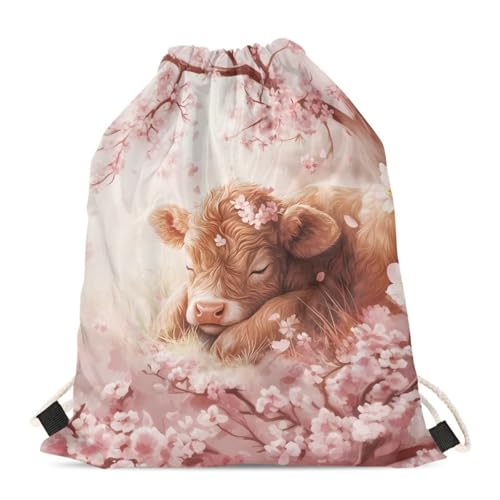 Highland Cow Cherry Blossom