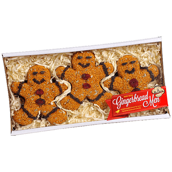3-Piece Gingerbread Men Cookie Set - Perfect for Holiday Baking, Christmas Decor & Gift Giving