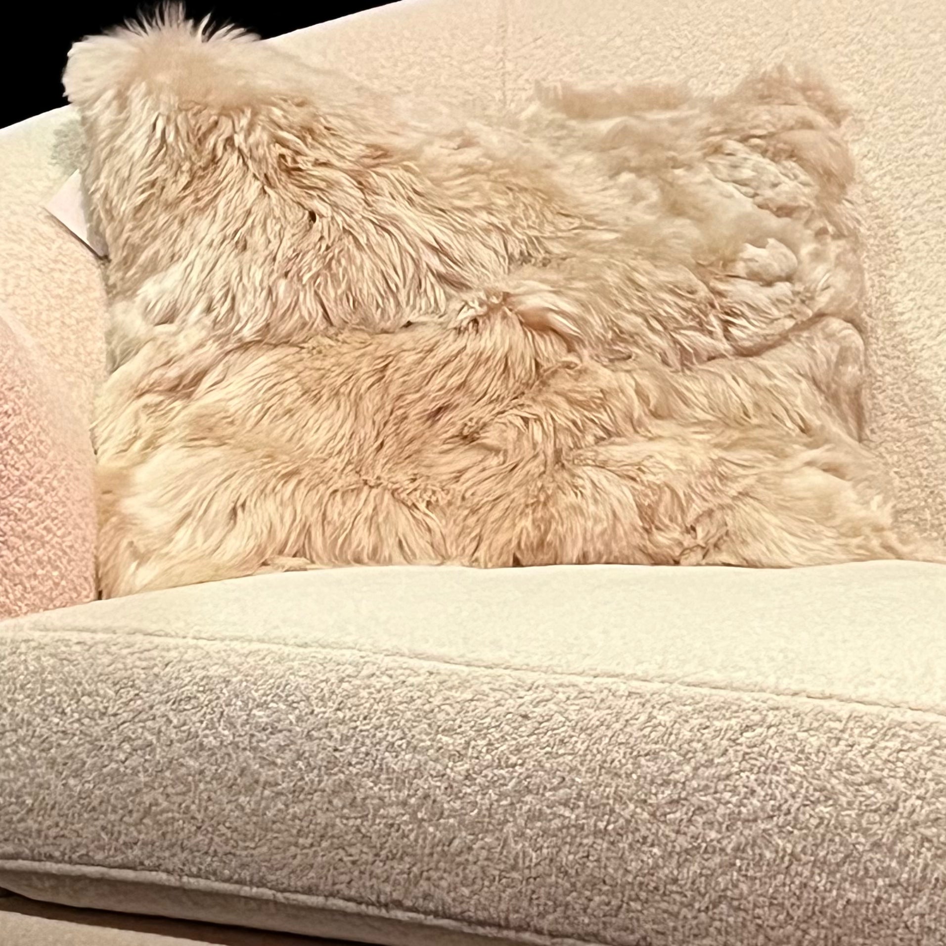 Lily Cream Alpaca Pillow Lumbar Support for Back Pain Relief - Soft & Hypoallergenic Alpaca Wool Cushion for Office Chair, Car Seat, Sofa, and Bed - Perfect for Home & Travel Comfort