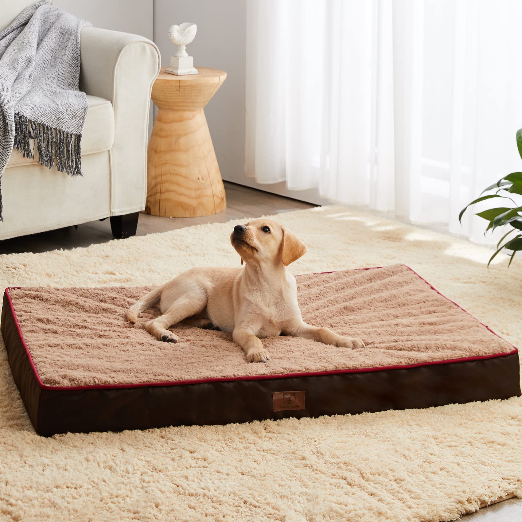 Orthopedic Large Dog Bed with Egg Foam - Washable Waterproof Cover, Soft Rose Plush for Extra Comfort - Perfect for Crates, Kennels & Home Use - Ideal for Large Breed Dogs Like Labradors, German Shepherds