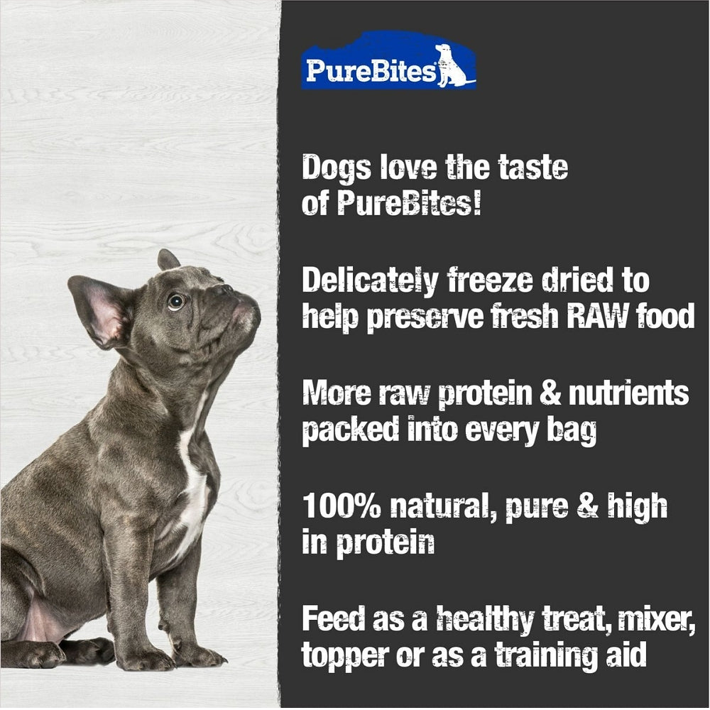 Freeze Dried Cheddar Cheese Dog Treats - Healthy Natural Training Snacks for Small & Large Dogs - Perfect for Training, Rewards & Travel