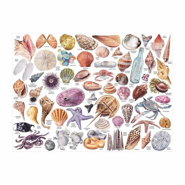 Galison The Beachcomber's Companion 1000-Piece Shaped Puzzle - Premium Jigsaw Puzzle for Adults & Teens - Perfect for Family Game Night & Relaxation