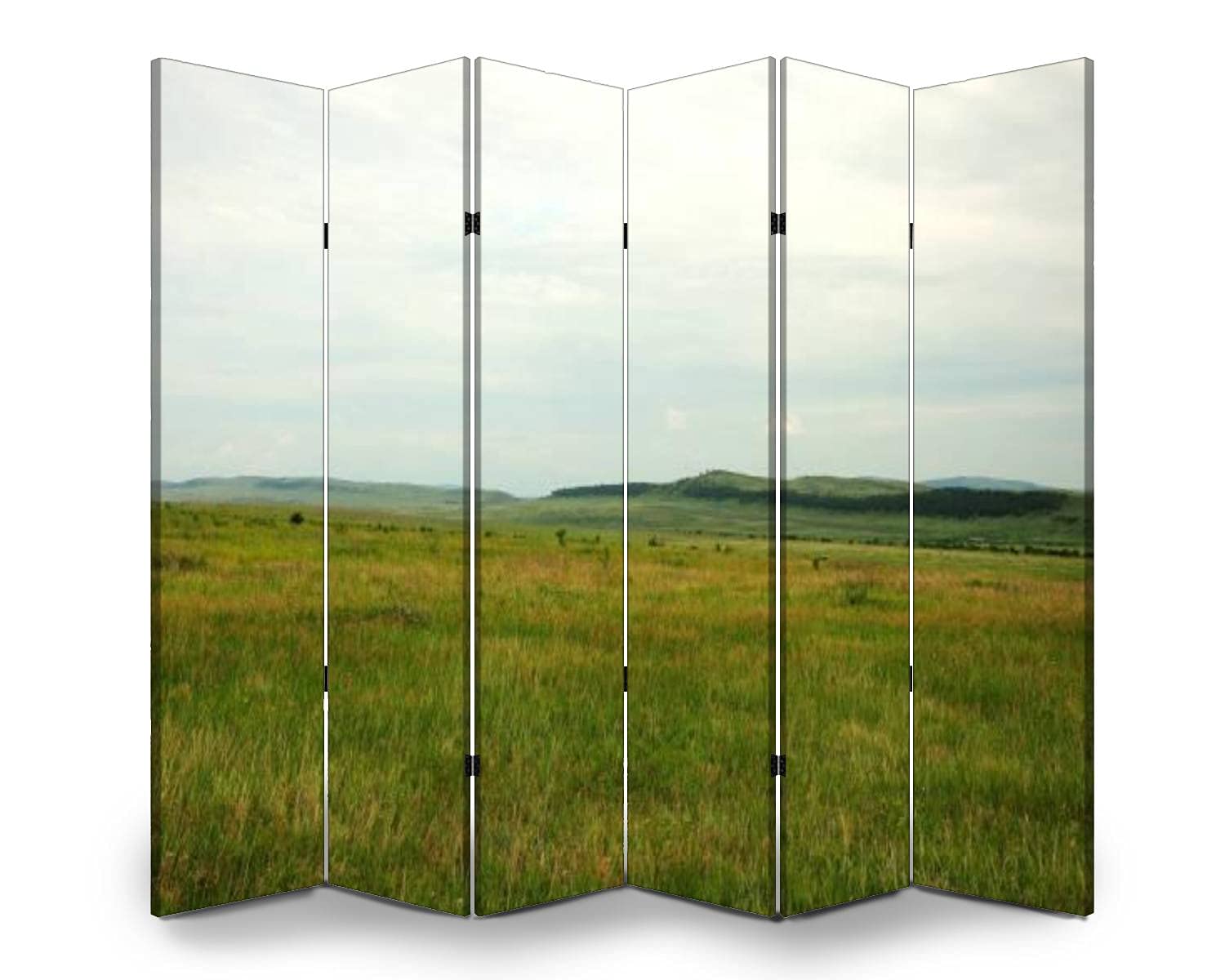 6-Panel Folding Room Divider Screen - Freestanding Privacy Partition for Indoor/Outdoor Use - Steppe Grass Design Protective Wall Separator - Perfect for Home Office, Bedroom Privacy, and Event Space Division