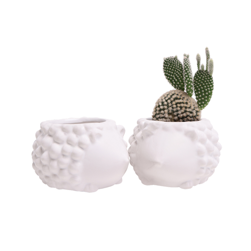 Hedgehog-Shaped Ceramic Planter for Succulents - Small Indoor Flower Pot with Drainage Hole - Perfect for Home, Office Desk Decor and Gift Ideas