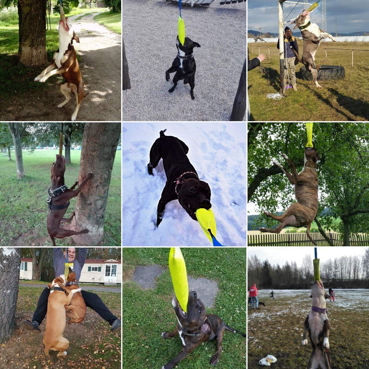 Bull Fit Dog Bite Tug Toy - Durable Chew Toy with 2 Reinforced Handles & Outdoor Bungee Rope - Perfect for Tug-of-War, Training, and Backyard Playtime