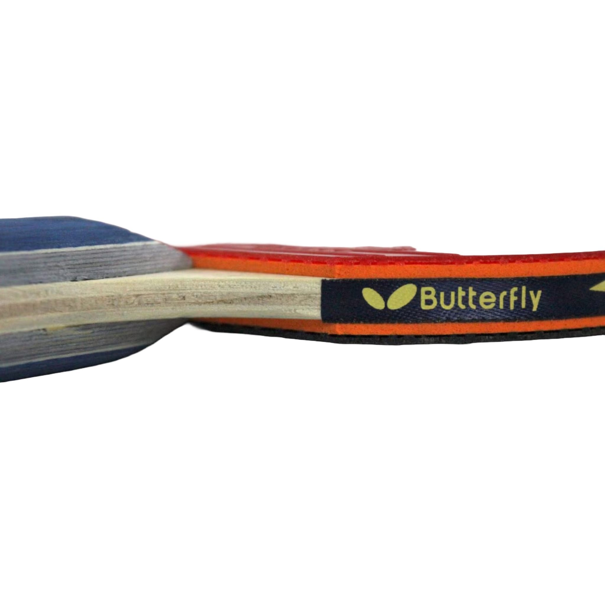 Butterfly Shakehand BTY 201 FL Table Tennis Racket Set - Professional Ping Pong Paddle for Training & Competition | Perfect for Indoor & Outdoor Play