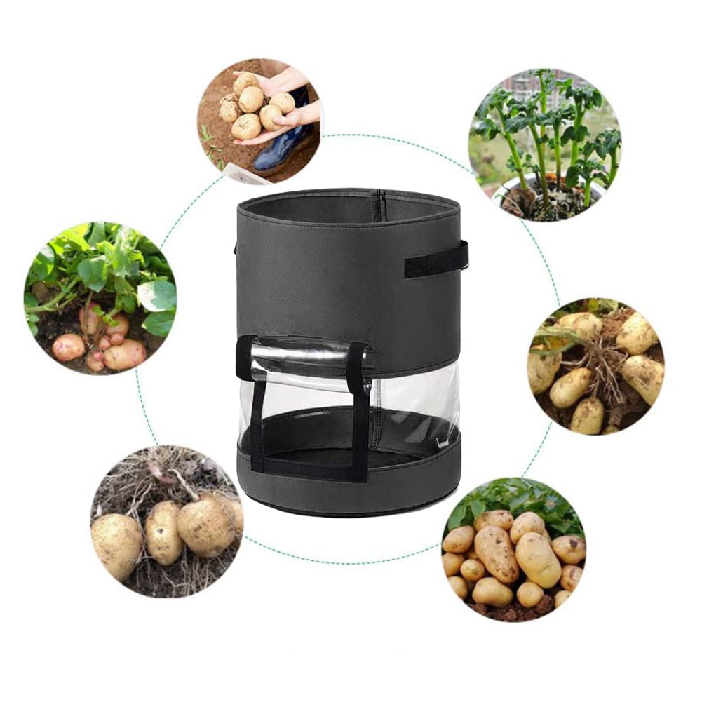 10 Gallon Transparent Potato Grow Bags with Handles & Harvest Window - Outdoor Planting Containers for Potatoes, Tomatoes & Vegetables (10 Pack) - Ideal for Home Gardening, Balcony Farming & Urban Agriculture